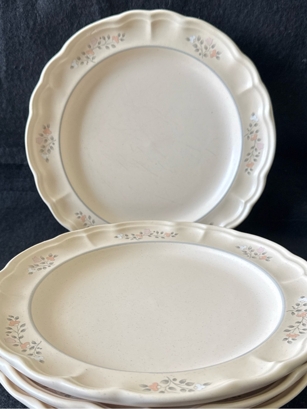 Pfaltzgraff Remembrance USA Stoneware 10.25" Dinner Plates Lot SET Of 7 Vintage